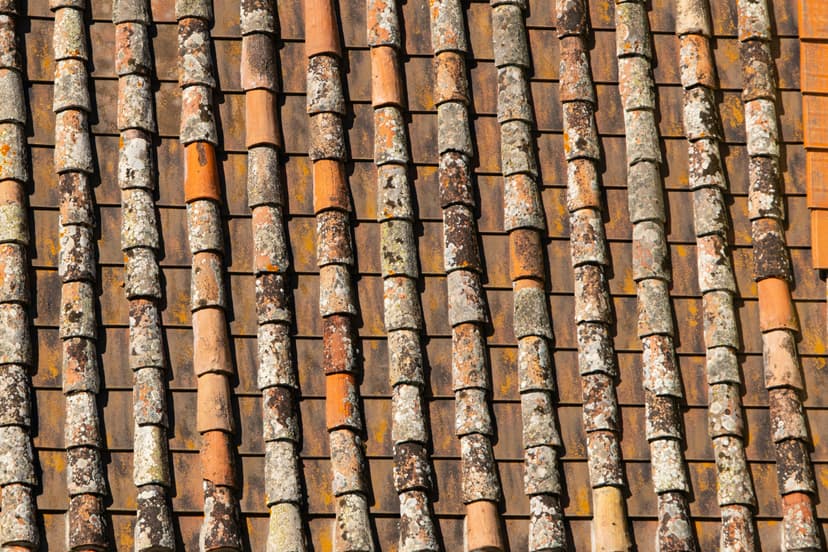 Terracotta Tiles